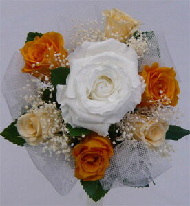 EGfBOu[P/uC_u[P/vU[uht[u[P/u[PvY@IW݂u[P