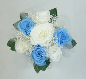 EGfBOu[P/uC_u[P/vU[uht[ u[P/u[PvY@pE_[u[݂u[Pysmtb-tkz