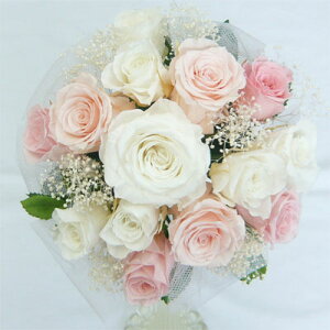 EGfBOu[P/uC_u[P/vU[uht[ u[P/u[PvY@sNo@ `[ɕ܂ꂽu[P