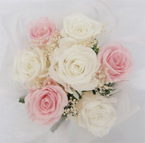 EGfBOu[P/uC_u[P/vU[uht[u[P/u[PvY@sNoݑ@it@[j