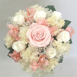 u[P/EGfBOu[P/uC_u[P/vU[uht[u[P/u[PvY@vYp~j@sNzCgybouqetz