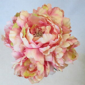 EGfBOu[P/uC_u[P/gXp@sIj[u[P@XC[gsN