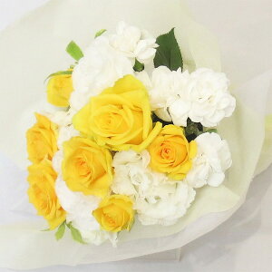 EGfBOu[P/gXu[P@W&Yu[P