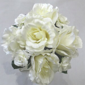 EGfBOu[P/uC_u[P/gXu[P@zCg[Y