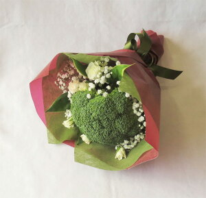 EGfBOu[P/ubR[u[P@VYlpgXu[P@ubR[͖[ 񂠂邱ƂAqɉhȂǂ̈ӖA 󂯎Nɉ߂܂悤ɂƂ