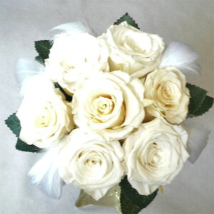 EGfBOu[P/uC_u[P/vU[uht[u[P/u[PvY@zCgAeB[NzCg