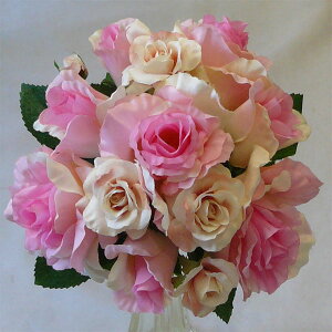 A[gt[kԁlu[P/uC_u[P/gXp@sN[YN[uE