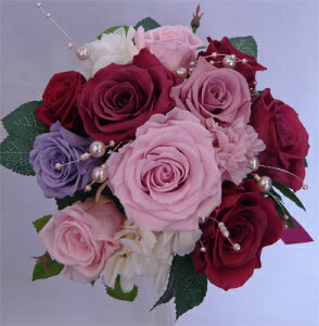 EGfBOu[P/uC_u[P/vU[uht[ u[P/u[PvY@Nx[sNysmtb-tkz