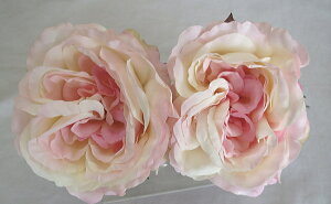 EGfBOu[P/wbhhX/wbhԁ@CObV[Y@CgsN@2p[cybouqetz