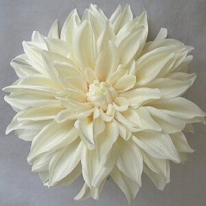 EGfBOu[P/wbhhX/wbhԁ@[W_A@ y20P30May15z