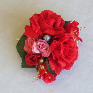 EGfBOu[P/uC_u[P/ԃo@XbgS y20P30May15z