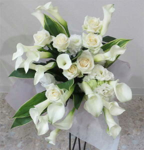 J[ƃỏԑ LsizeyaAjALOAjȂǁz