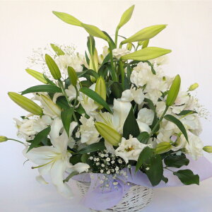 ԁE@v AWg yzy䋟zyLXg@ԁzỷ݂ԁz