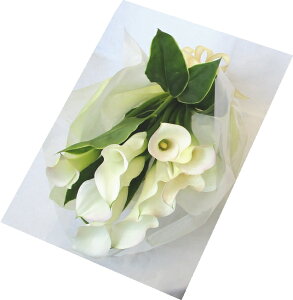 J[̉ԑyjALOAaAjȂǁz