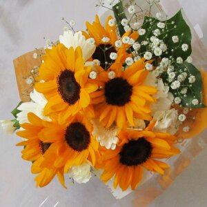 q}ƃK[x̃u[P@Ђ܂@ay䋟ɂ߂łz