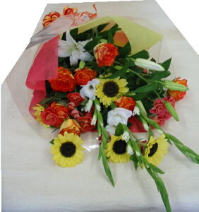 Ђ܂T}[u[Pysmtb-tkzyq}zyaALOAj@ԁz