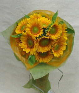 Tt[Ei`u[Pyq}zyЂ܂zya@ԁz