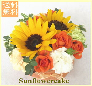 t[P[L/v`Kg[EЂ܂P[L@a@j@ԁynEBɂ߂łIz