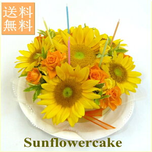 t[P[L/Ђ܂P[LyIzyq}zya@ԁz