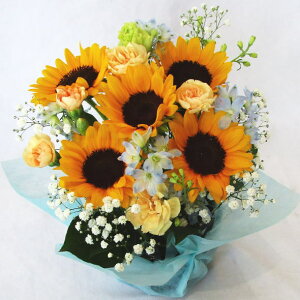 Ђ܂ƃftBjẺĐFAWyq}zj@LO@aȂ