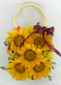 EGfBOu[P/ԃu[P/Ђ܂ƃx[̃obNu[PF@u[gjAt y20P30May15z