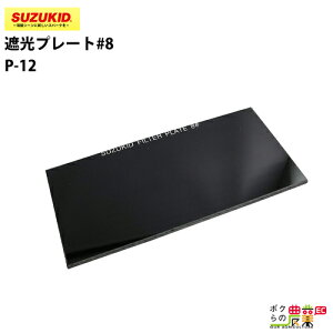 �X�^�[�d�� �Ռ��v���[�g#8 P-12 1���� �K���X�� �X�Y�L�b�h SUZUKID �n�ڋ@ �ی��