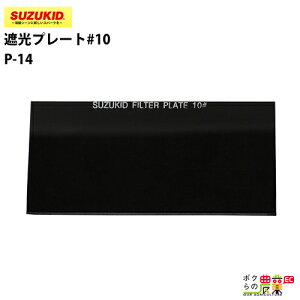 �X�^�[�d�� �Ռ��v���[�g#10 P-14 1���� �K���X�� �X�Y�L�b�h SUZUKID �n�ڋ@ �ی��