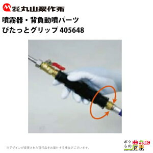 ێR쏊 ҂ƃObv 405648 p p p[c