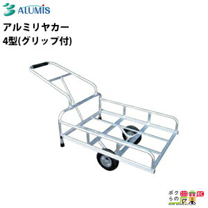 A~J[ A~X 4^ Obvt ő׏d80kg x y m[pN^C ܂肽 ALUMIS