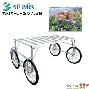 n A~X A~[J[26^ 26C` GA[^C ő׏d250kg 180cm×99cm×104cm ALUMIS