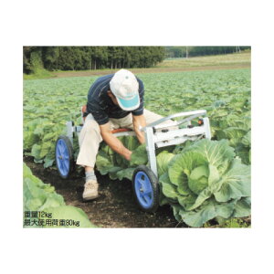 y12/1`12/31JÁIIm1/2ő100%PҌIvGg[znbNX iGbR pAtEnpƎ NKH-600S