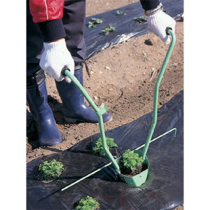 y12/1`12/31JÁIIm1/2ő100%PҌIvGg[znbNX EGbN \ڐA(4|bg܂ŐAt) UR-120