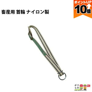 ySi|Cg10{IyVX[p[Z[聚vGg[z{Yp  iC 102cm 32871 Bxg 4cmE0.3cm {Y _ q{ YƓ   { ƒ{ {Ypi