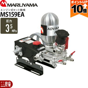 y|Cg10{IX[p[Z[zy12/1`12/31JÁIIm1/2ő100%PҌIvGg[zGW  ͕ ێR쏊 MS419 366600 AhoXt[(P)  