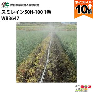 y|Cg10{IX[p[Z[zy12/1`12/31JÁIIm1/2ő100%PҌIvGg[zZ_Ǝ 󐅃`[u X~C50H-100 WB3647 100M × 1 In  U U20M