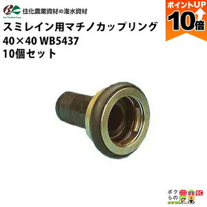 y|Cg10{IX[p[Z[zy12/1`12/31JÁIIm1/2ő100%PҌIvGg[zZ_Ǝ p X~Cp}`mJbvO40-40 WB5437 10 X~C40 _