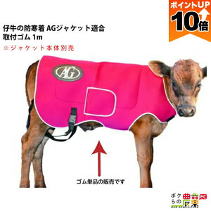 y|Cg10{IX[p[Z[zy12/1`12/31JÁIIm1/2ő100%PҌIvGg[z{Y _ pi i AGWPbg tS 1m qp h e AGg[fBO  ~