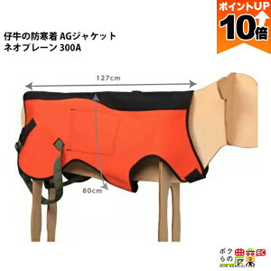 y|Cg10{IX[p[Z[zy12/1`12/31JÁIIm1/2ő100%PҌIvGg[z{Y _ pi fp AGWPbg lIv[ 300A ʏ qp h e AGg[