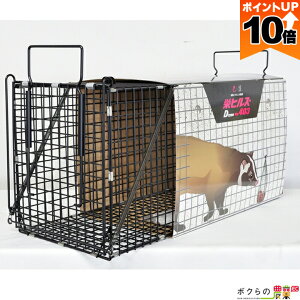 y|Cg10{IX[p[Z[zy12/1`12/31JÁIIm1/2ő100%PҌIvGg[zvXX^C ߊl D^CvNOD403 AG|3