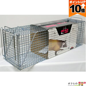 y|Cg10{IX[p[Z[zy12/1`12/31JÁIIm1/2ő100%PҌIvGg[zvXX^C ߊl D^CvNOD404 AG|4