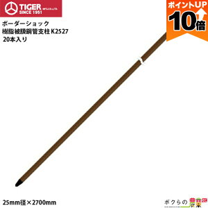 y|Cg10{IX[p[Z[zy12/1`12/31JÁIIm1/2ő100%PҌIvGg[z^CK[ 핢|ǎx K2527 20{ a25mm S270cm TBS-PK25270 dCp x BORDER SHOCK