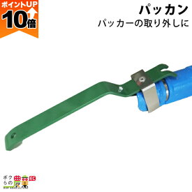 【ポイント10倍！スーパーセール限定】【12/1〜12/31開催！当選確率1/2★最大100%P還元！要エントリー】パッカン パッカー 外し