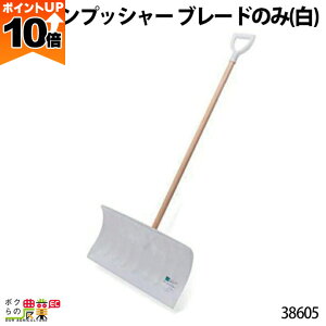 y|Cg10{IX[p[Z[zy12/1`12/31JÁIIm1/2ő100%PҌIvGg[z{Yp N[vbV[ u[ĥ () 38605 XRbv Vx | Еt {Y