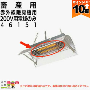 y|Cg10{IX[p[Z[zy12/1`12/31JÁIIm1/2ő100%PҌIvGg[z{Yp d ԊOg[p 200Vd̂ 46151 gdCHƊ {Y _ q{ 