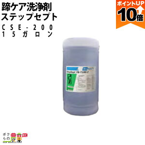 y|Cg10{IX[p[Z[zy12/1`12/31JÁIIm1/2ő100%PҌIvGg[z{Yp PA CSE-200XebvZvg 15K    