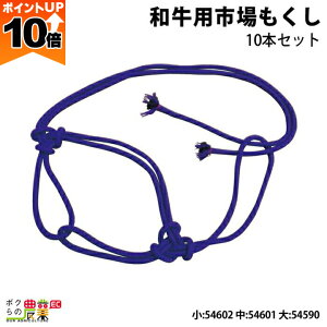 y|Cg10{IX[p[Z[zy12/1`12/31JÁIIm1/2ő100%PҌIvGg[z{Yp aps 10{Zbg  54602  54601  54590 _pi _ _