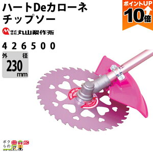 y|Cg10{IX[p[Z[zy12/1`12/31JÁIIm1/2ő100%PҌIvGg[zێR쏊 `bv\[ n[gDeJ[l 426500 `bv\[ 230mm @p @p n[g