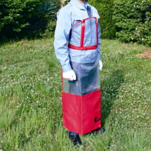 y12/1`12/31JÁIIm1/2ő100%PҌIvGg[z[mA @ANZT[ V[gtGvPro 584294701