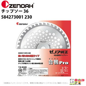 y12/1`12/31JÁIIm1/2ő100%PҌIvGg[z[mA `bv\[ pro n36 Oa230mm 584273001