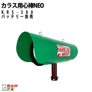 JXpS_NEO KRS-300 {̂̂ obe[ʔ JX Qb މ pS_